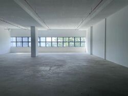 Loyang Industrial Estate (D17), Factory #525414561